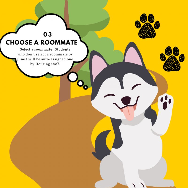 Husky on trail with sign behind it. Step 3: Select a roommate! Students who don’t select a roommate will be auto-assigned one by Housing staff! 