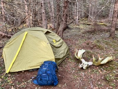 A backpack outside a tent with moose antlers at Isle Royale National Park where students from Michigan Tech do fieldwork.