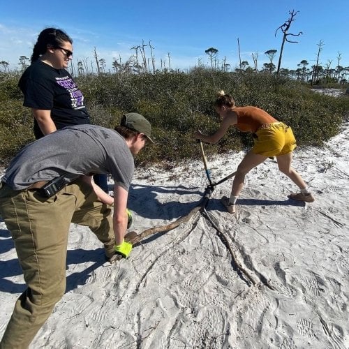 group tries plying apart a stick of wood