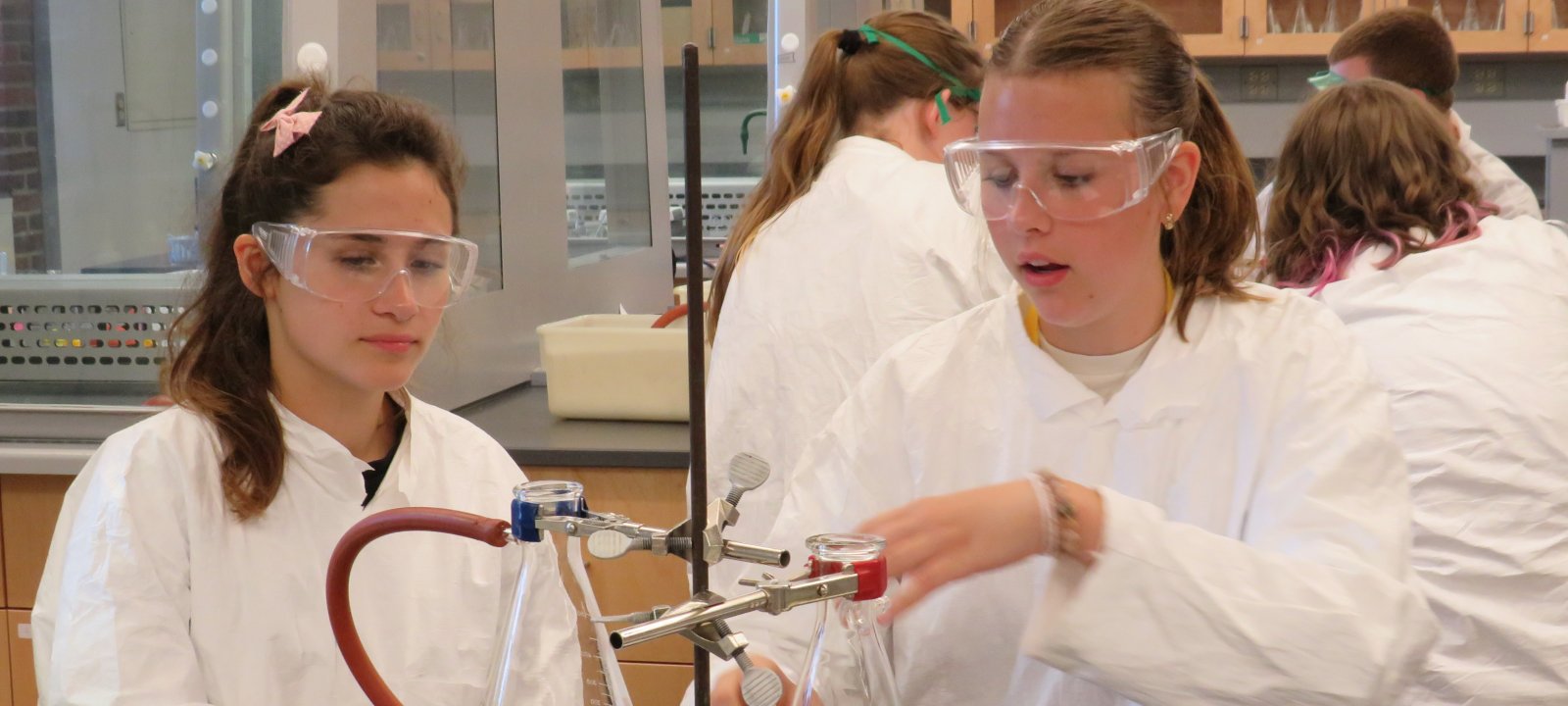 SYP students in chemistry lab