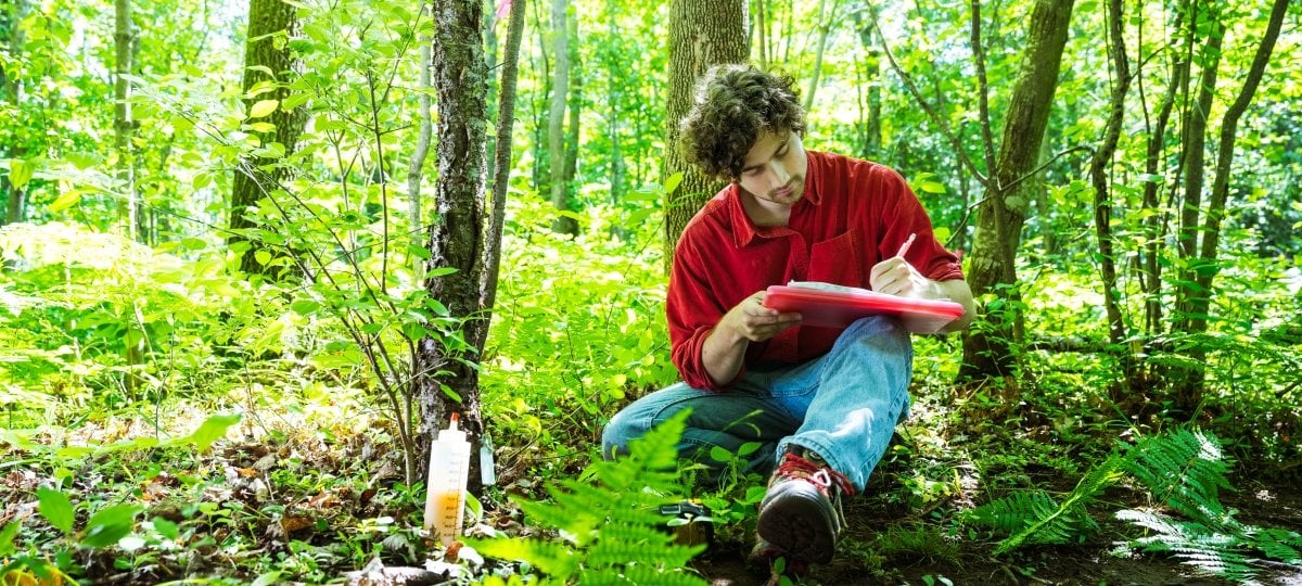 Fungus Among Us: MTU Student Using Native Fungi To Weaken Invasive ...