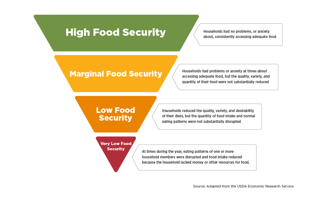 Food Insecurity Measures