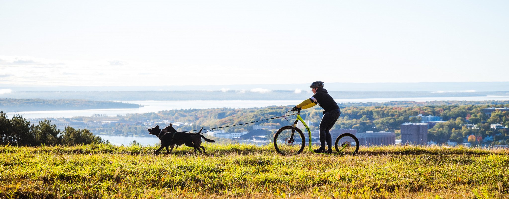 A Michigan Tech student dryland mushing exemplifies how the university an its students prepare for tomorrw, with a bright horizon of sky, campus, and waterway in the background.